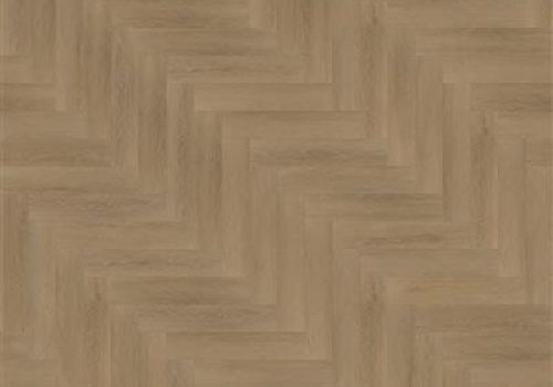 6209701119_6201101119