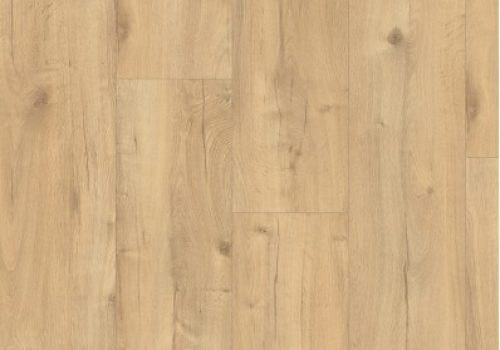 Grizzly-nieuw-2076-398x545