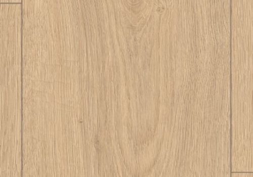 Lion-nieuw-2027-398x545