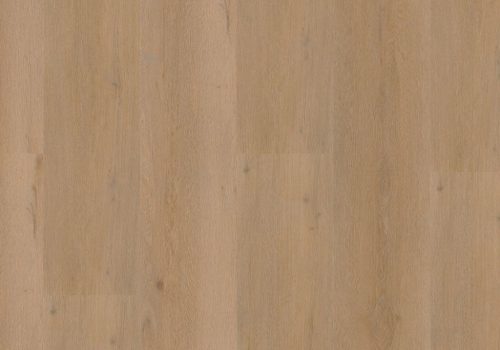 TFD Nature Rigid 6281-1